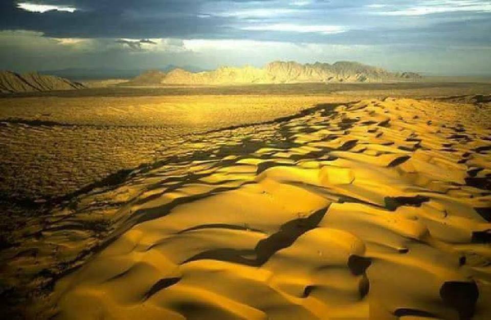 dunas