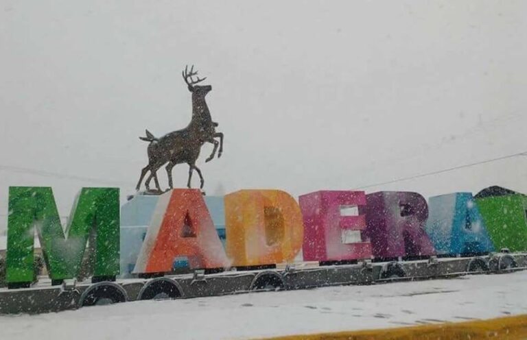 letras