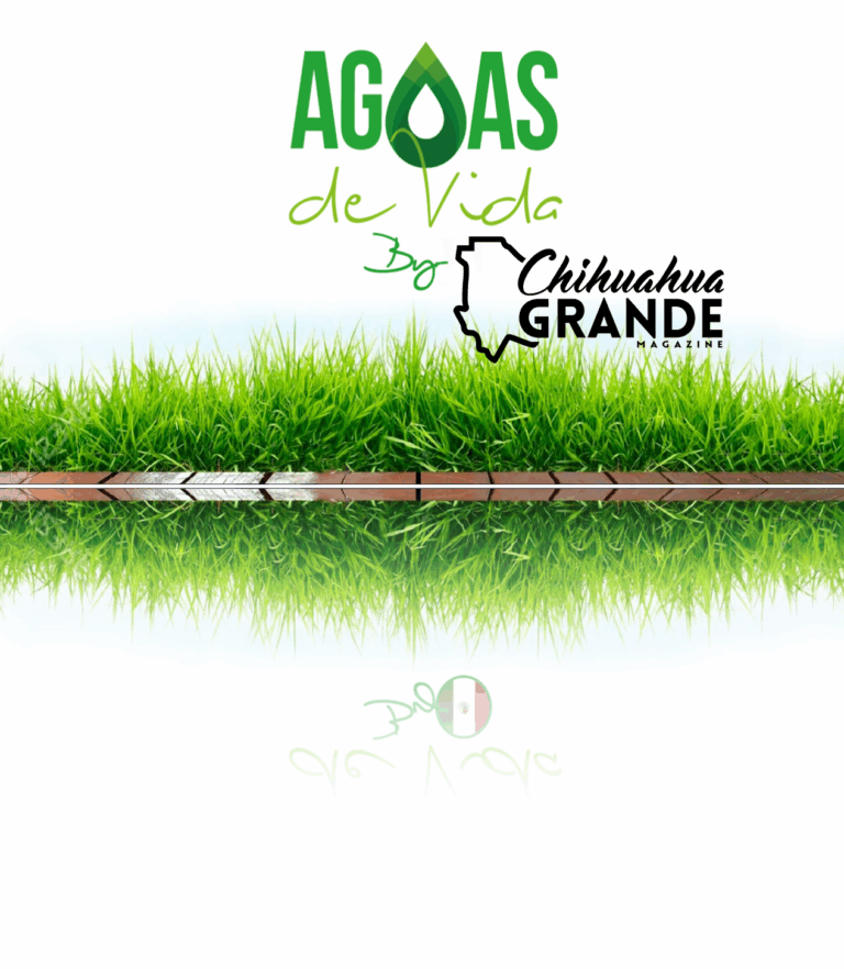 aguas