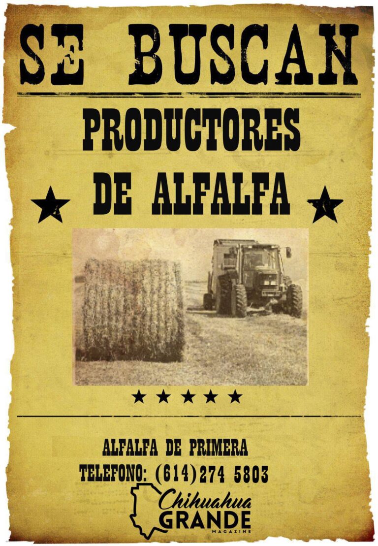 se busca 4
