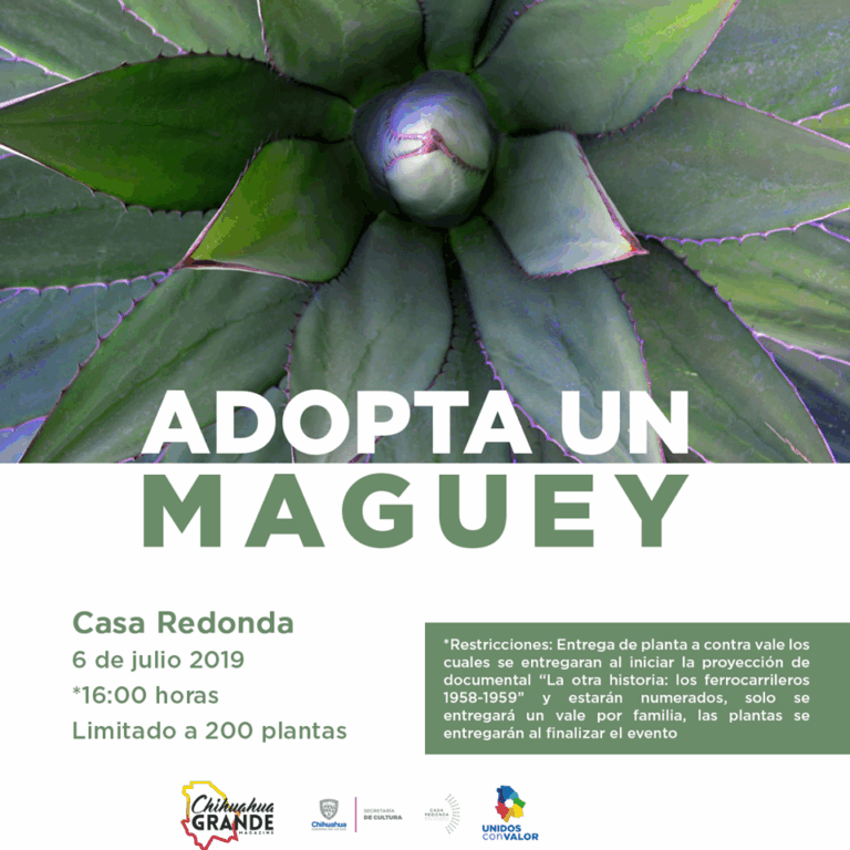 Adopta un Maguey Cartel