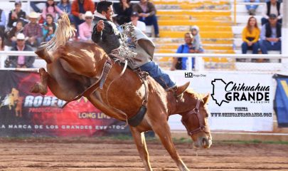 Rodeo-405x240