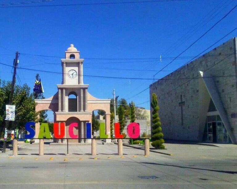 SAUCILLO