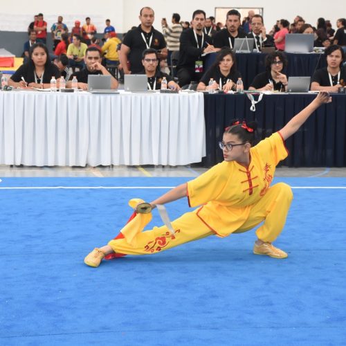 Yahel Campeón En Torneo De Kung Fu Nacional